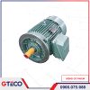 Động Cơ Mặt Bích 3 Pha VIHEM