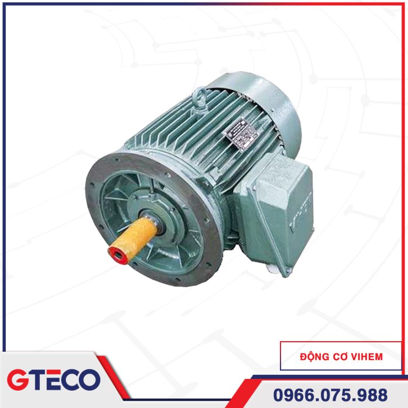 Động Cơ Mặt Bích 3 Pha VIHEM