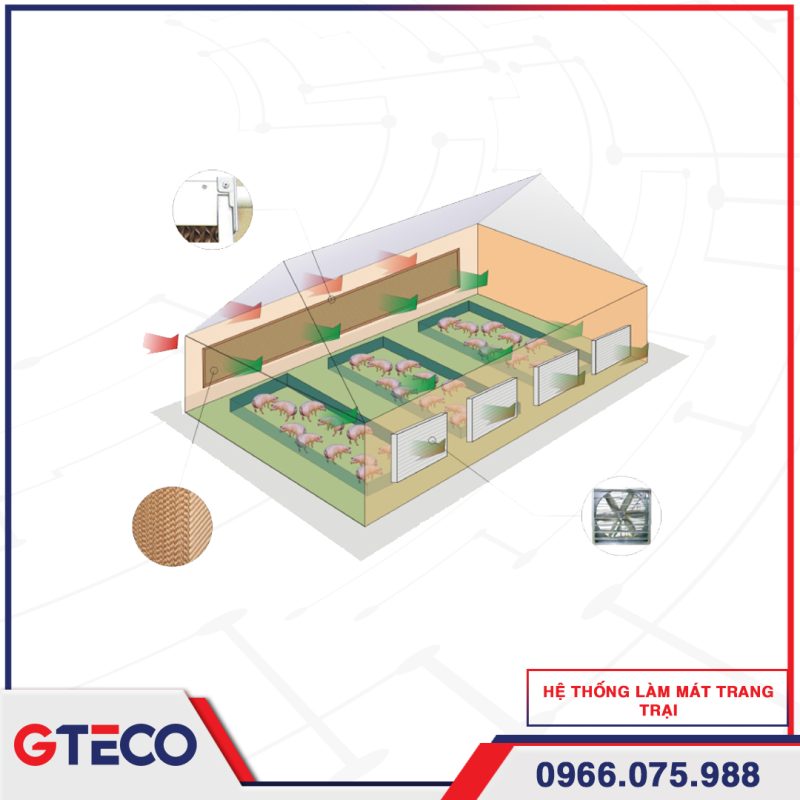 HỆ THỐNG LÀM MÁT TRANG TRẠI