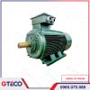 Động cơ chân đế 3 pha VIHEM