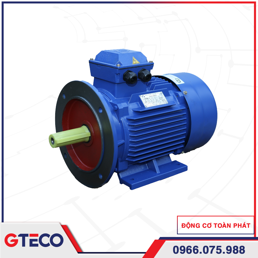 Động Cơ Mặt Bích 3 Pha TOÀN PHÁT 1 Động Cơ Mặt Bích 3 Pha TOÀN PHÁT
