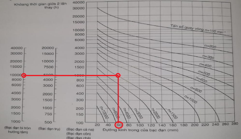 Ước lượng tuổi thọ bi