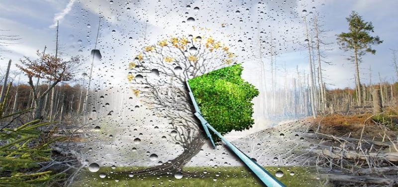 Mưa Axit Là Gì? Nguyên Nhân, Hậu Quả Và Lợi Ích Từ Mưa Axit 3 tac hai mua axit