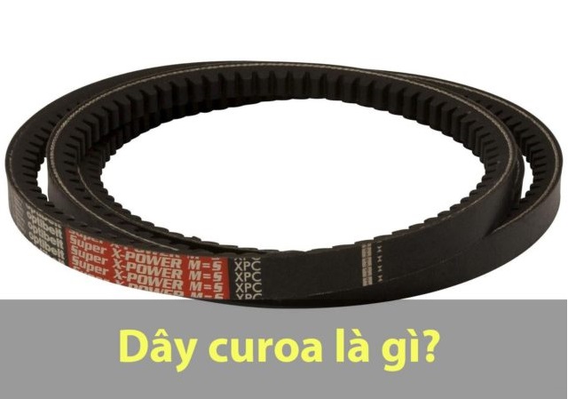 Dây Curoa Là Gì? Thành Phần, Phân Loại, Ứng Dụng Dây Curoa 1 Dây curoa là gì?