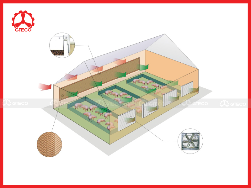 Nguyên lý hoạt động của hệ thống làm mát cooling pad Nguyên lý hoạt động của hệ thống làm mát cooling pad